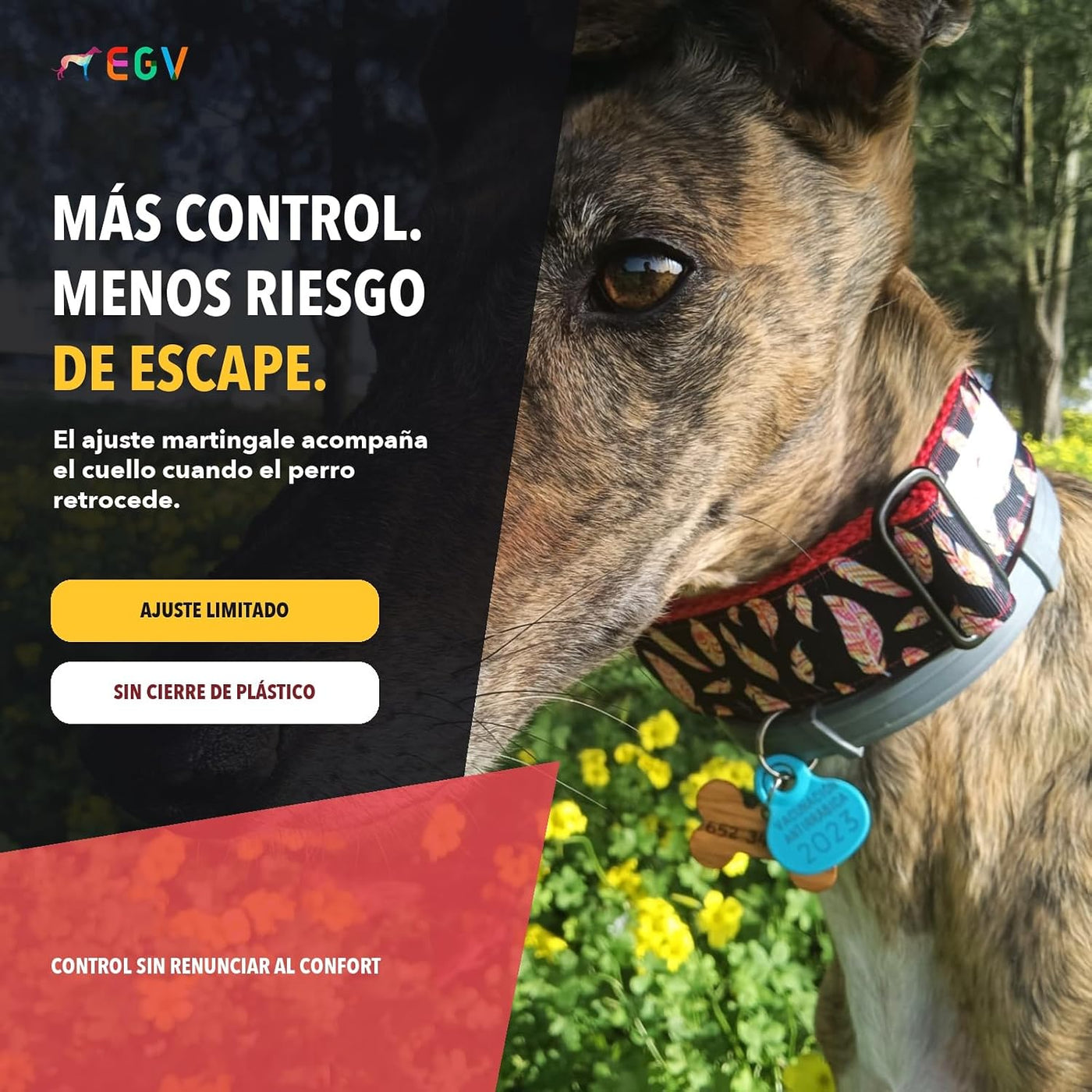 EGV - Martingale Collar 4 cm Wide, Greyhound Collar Handmade in Spain, Wide Collar for All Types of Dog, Dog Collar with Black Buckles (Feathers, L (Neck 37-55 cm))