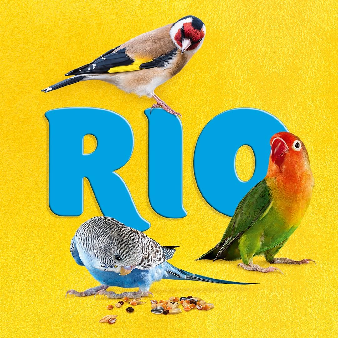 RIO Grit Mix | Twin Pack | 2 x 520g | Mineral Bird Food | to Support Digestion | Contains Important Minerals such as Calcium, Phosphorus and Sodium