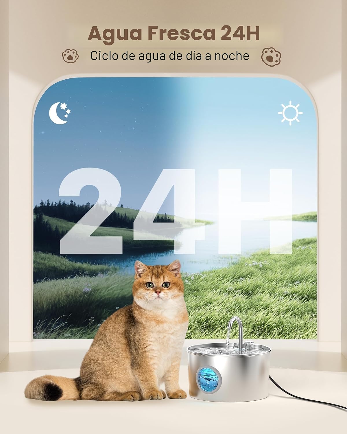 Fonte para gatos aço inoxidável: Bebedor gatos automático - fonte gato
