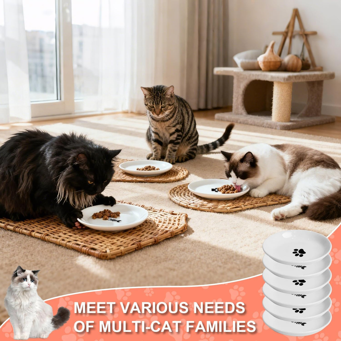 6 Pieces Cat Bowls, Ceramic Cat Feeder for Cats, Suitable for Kittens and Puppies