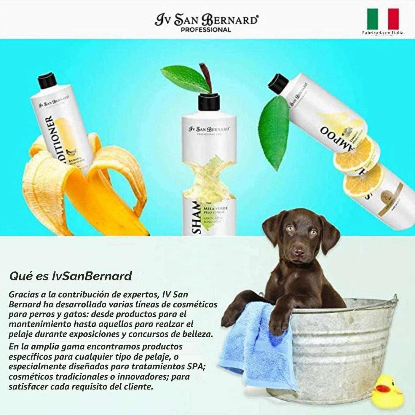 ISB CAVIAR SHAMPOO (1000 ML)