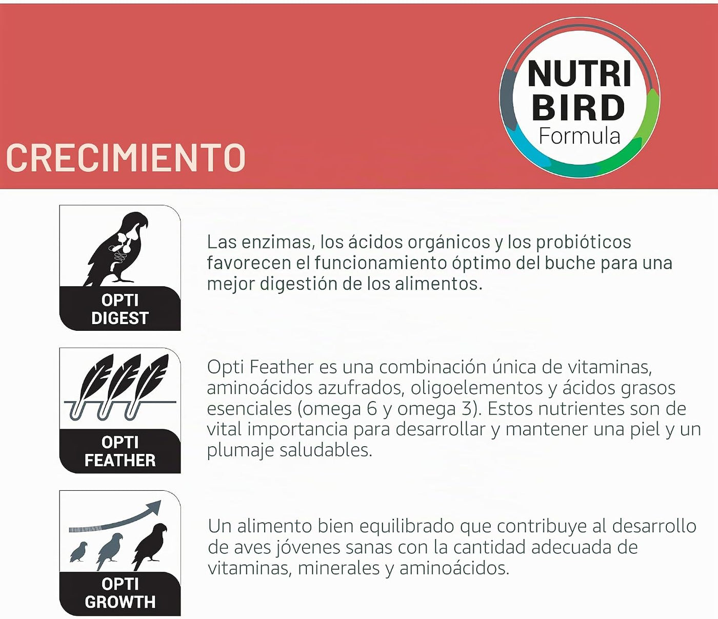 Versele-Laga NutriBird A21 | Twin Pack | 2 x 250g | Food for Hand Breeding Birds with Increased Protein Need | To Support Optimal Development of Healthy Piglings