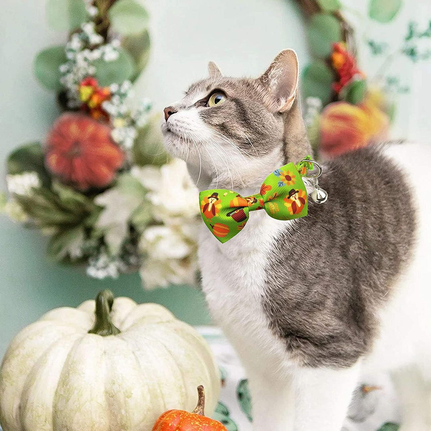 Paquete de 2 collares de gato de Acción de Gracias con pajarita y campana, gatito, otoño, vacaciones, pavo y calabaza, para niños, niñas, hombres y mujeres (patrón 1)