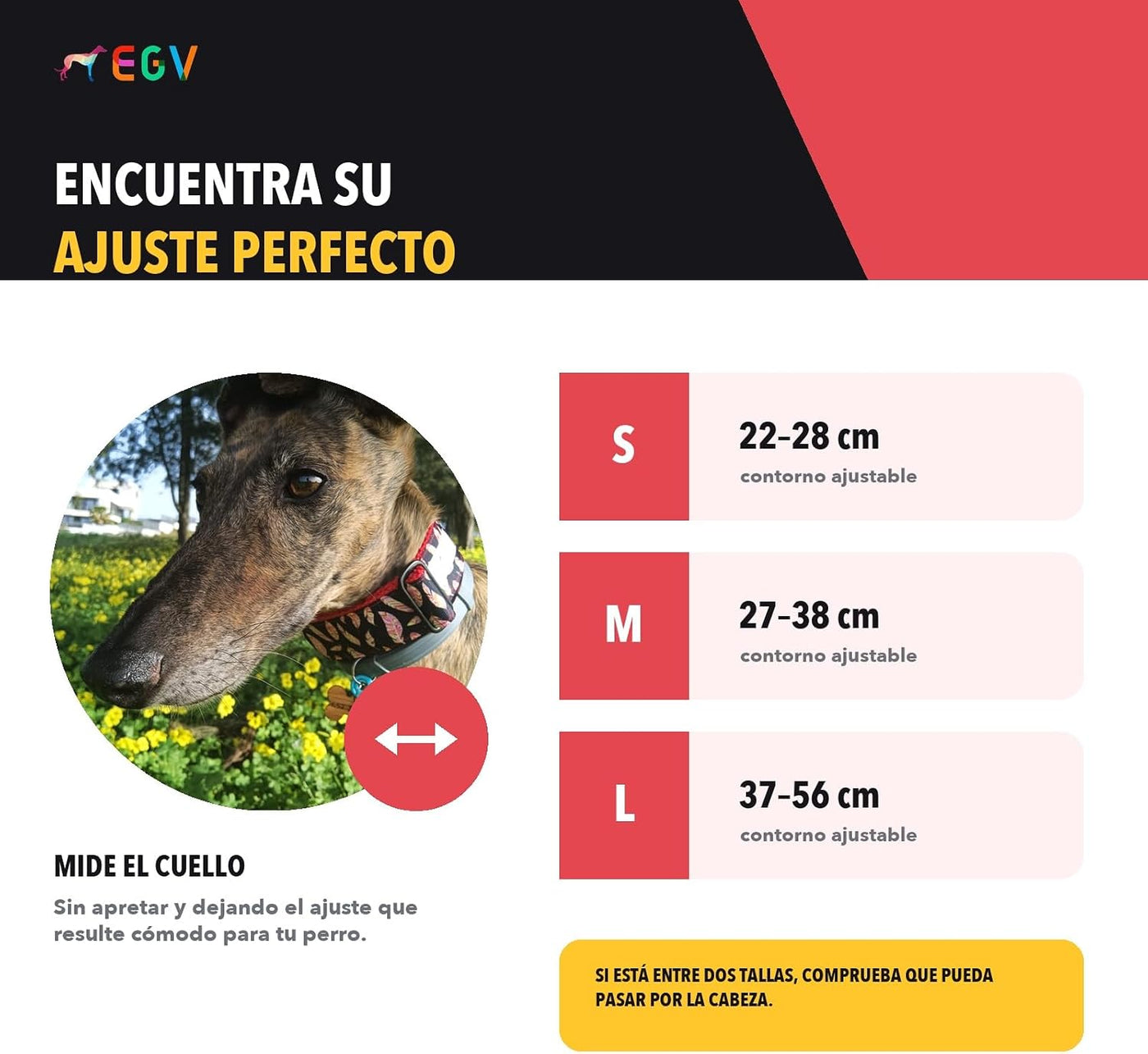 EGV - Martingale Collar 4 cm Wide, Greyhound Collar Handmade in Spain, Wide Collar for All Types of Dog, Dog Collar with Black Buckles (Feathers, L (Neck 37-55 cm))