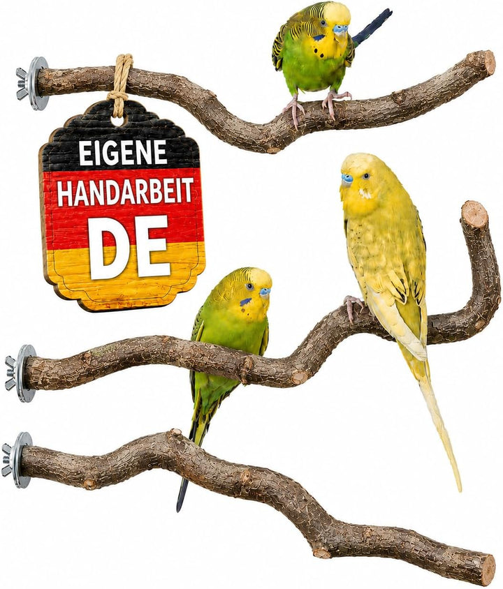 3 Curved Natural Wood Hazelnut Corkscrew Hangers for Parakeets | Natural Wood Branches as Important Accessory for Birds
