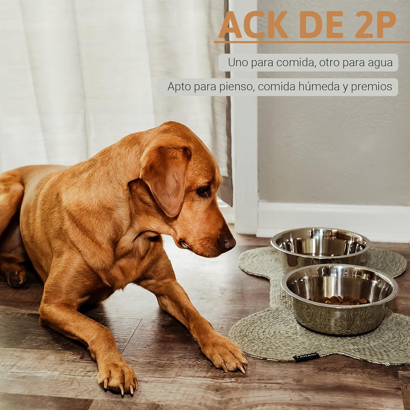 PEGGY11 Stainless Steel Dog Bowls, Non-Slip, Rubber Bottom, Food Grade, BPA Free, Dishwasher Safe, Easy to Clean, 1900ml, 2 Packs