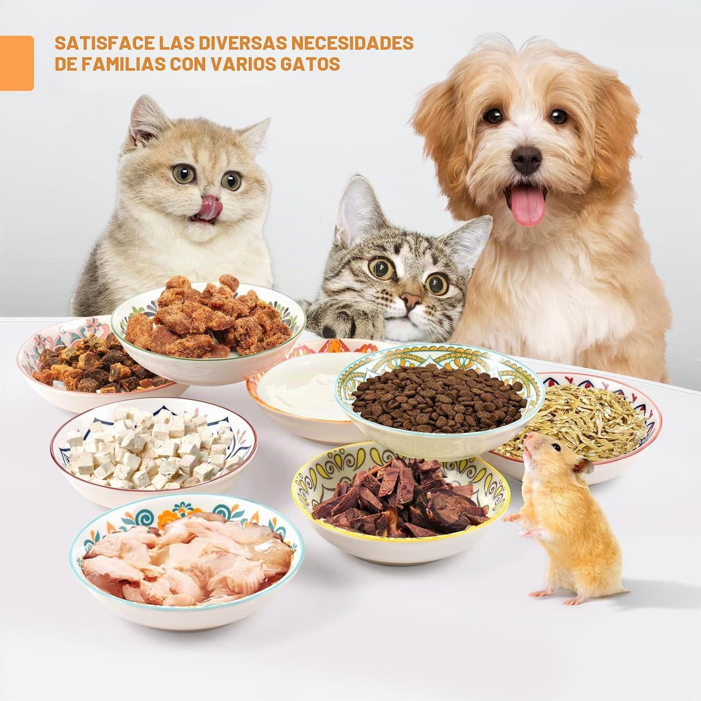 8 Pieces Ceramic Cat Feeder Bowls Cat Dishes for Cats