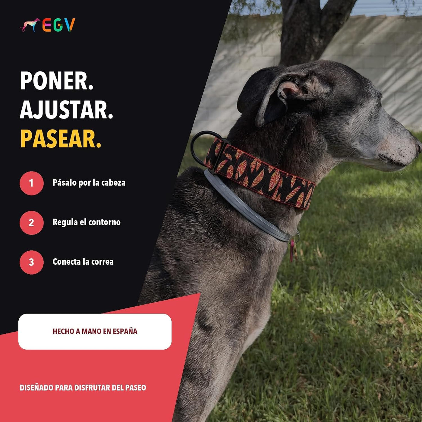 EGV - Martingale Collar 4 cm Wide, Greyhound Collar Handmade in Spain, Wide Collar for All Types of Dog, Dog Collar with Black Buckles (Feathers, L (Neck 37-55 cm))