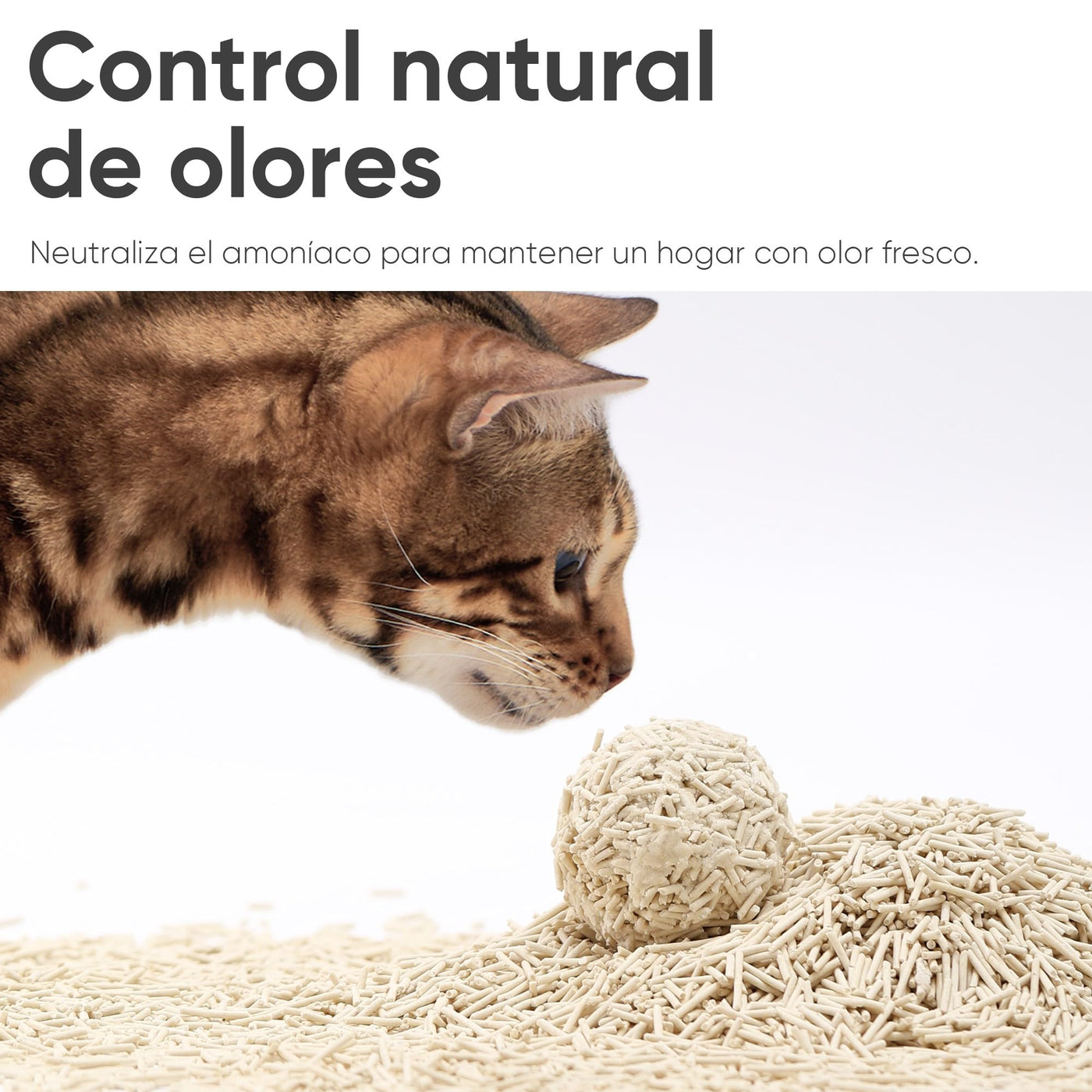 Areia de Tofu para Gatos – FUKUMARU, 5,4 kg
