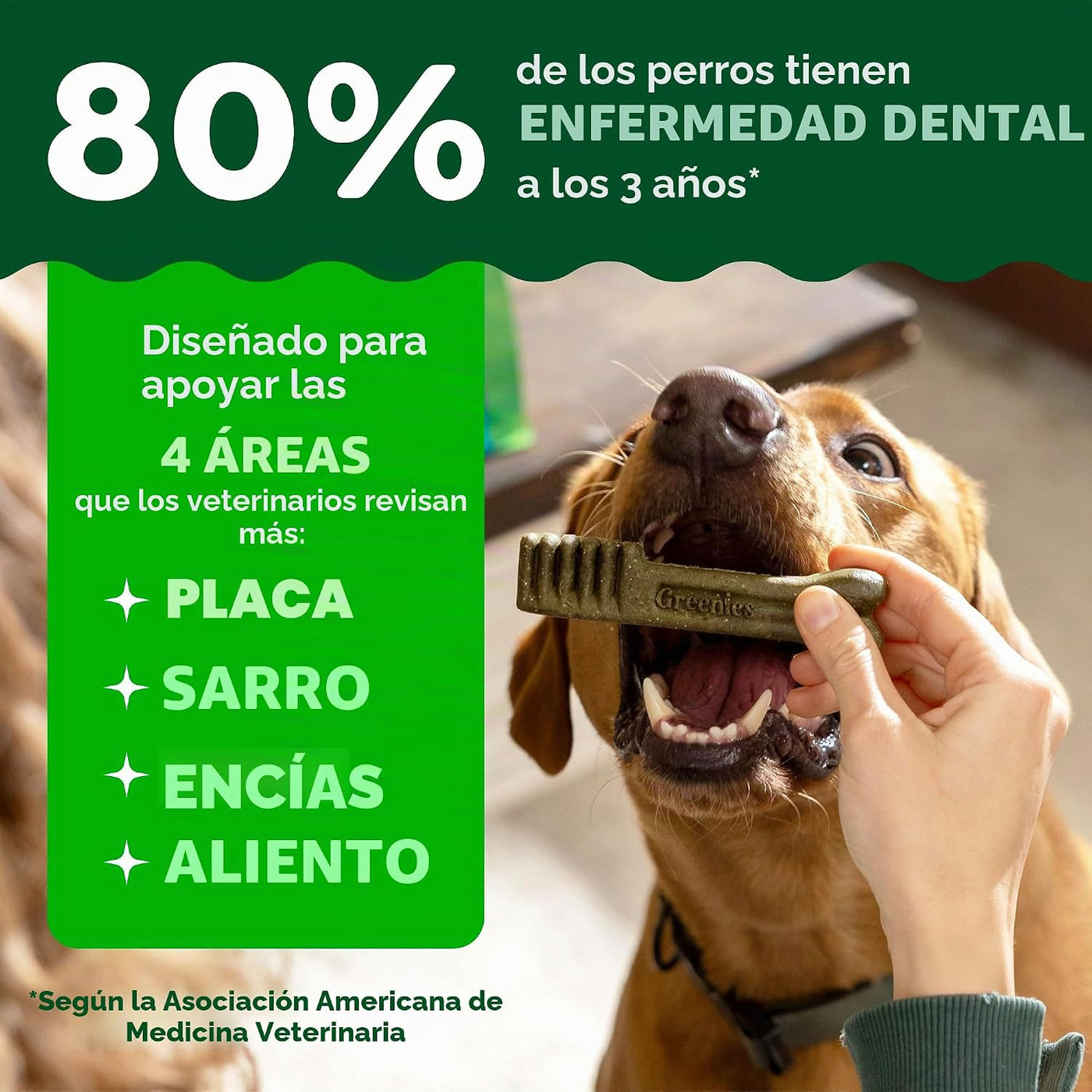 Greenies Dental Dog Treats