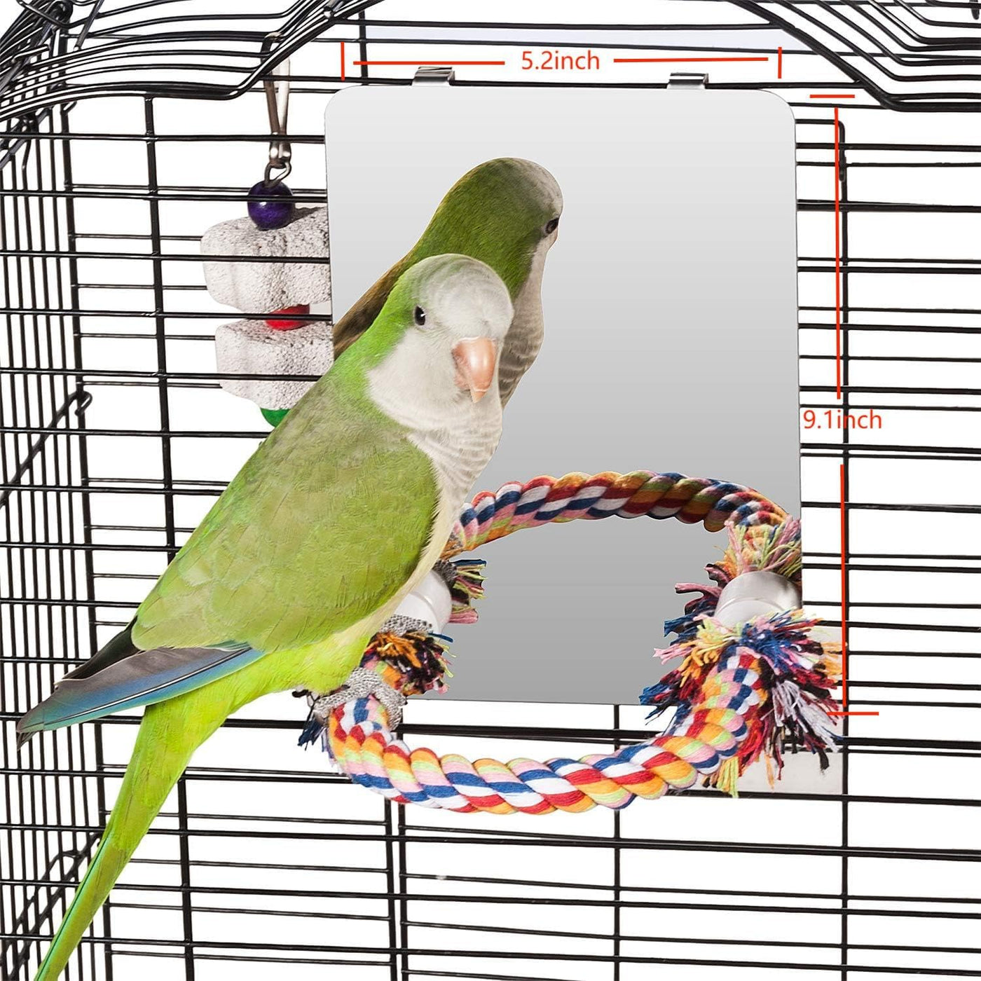 Colorday 7 Inch (18cm) Stainless Steel Bird Mirror with Rope Perch, bird Swing Toys, comfortable for Perch Grey African Parakeet Cockatiel Conure lovebir Finch canary
