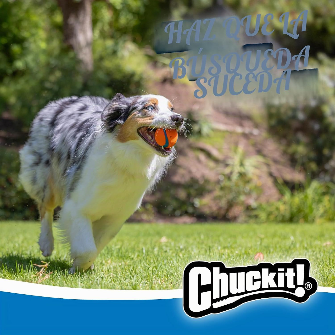 Chuckit! POPURRÍ Dog Toy 3-Pack Ball Whistle, Glow, Bounce Medium
