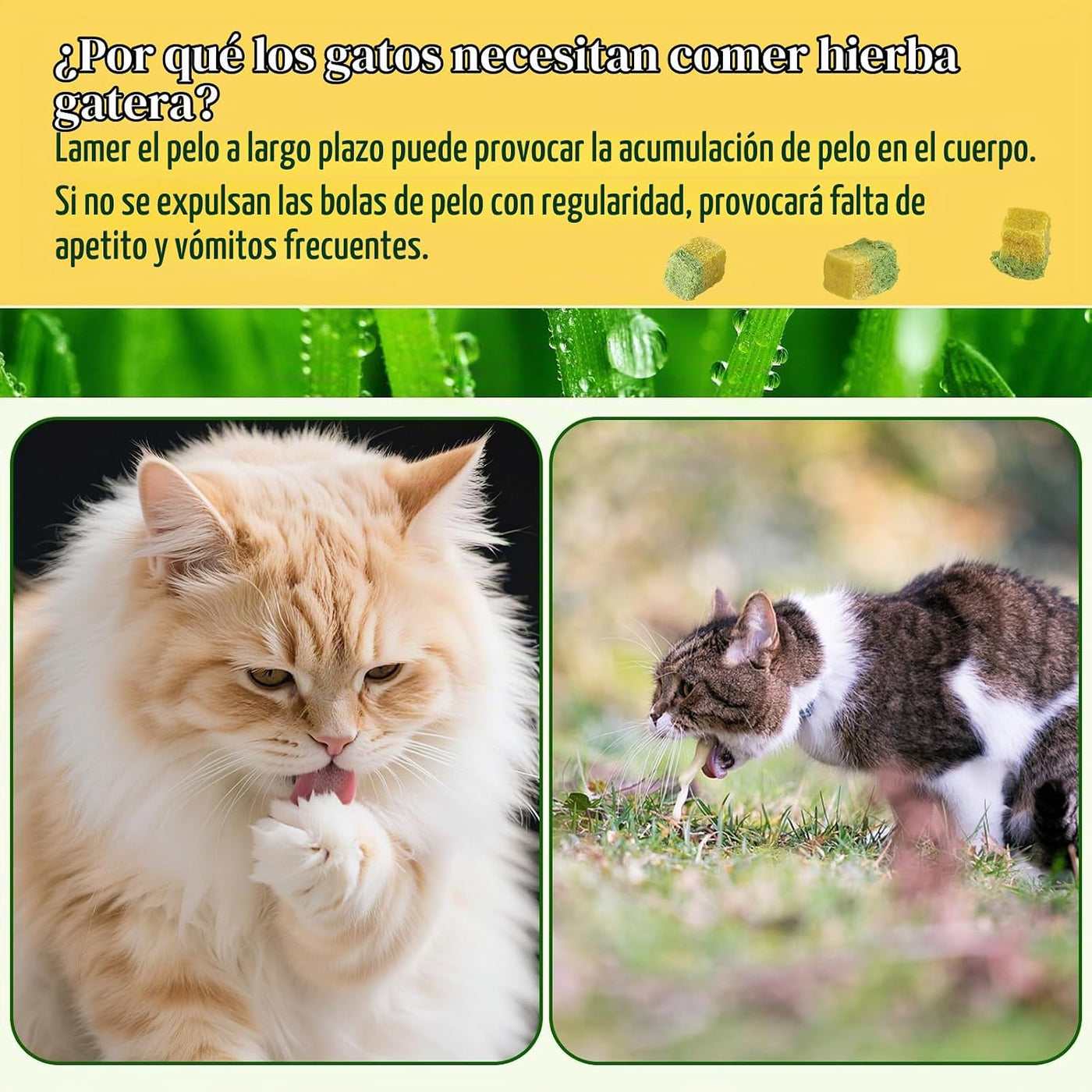 Freeze-Dried Cat Snacks with Grass & Egg Yolk, Catnip Snacks for Cats, Hair Ball Control and Healthy Hair