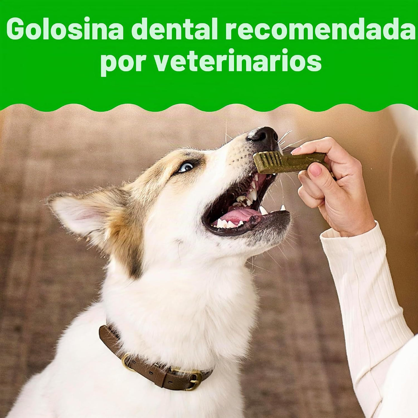 Greenies Dental Dog Treats