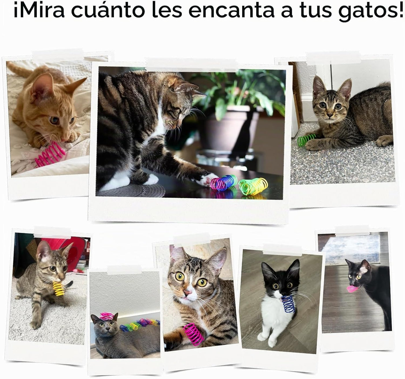 Cat Toys for Indoor Cats, 30 Pack Interactive Cat Toys, Durable Colorful Plastic Spiral Springs for Kitten Hunting, Banging and Biting, Cat Toys