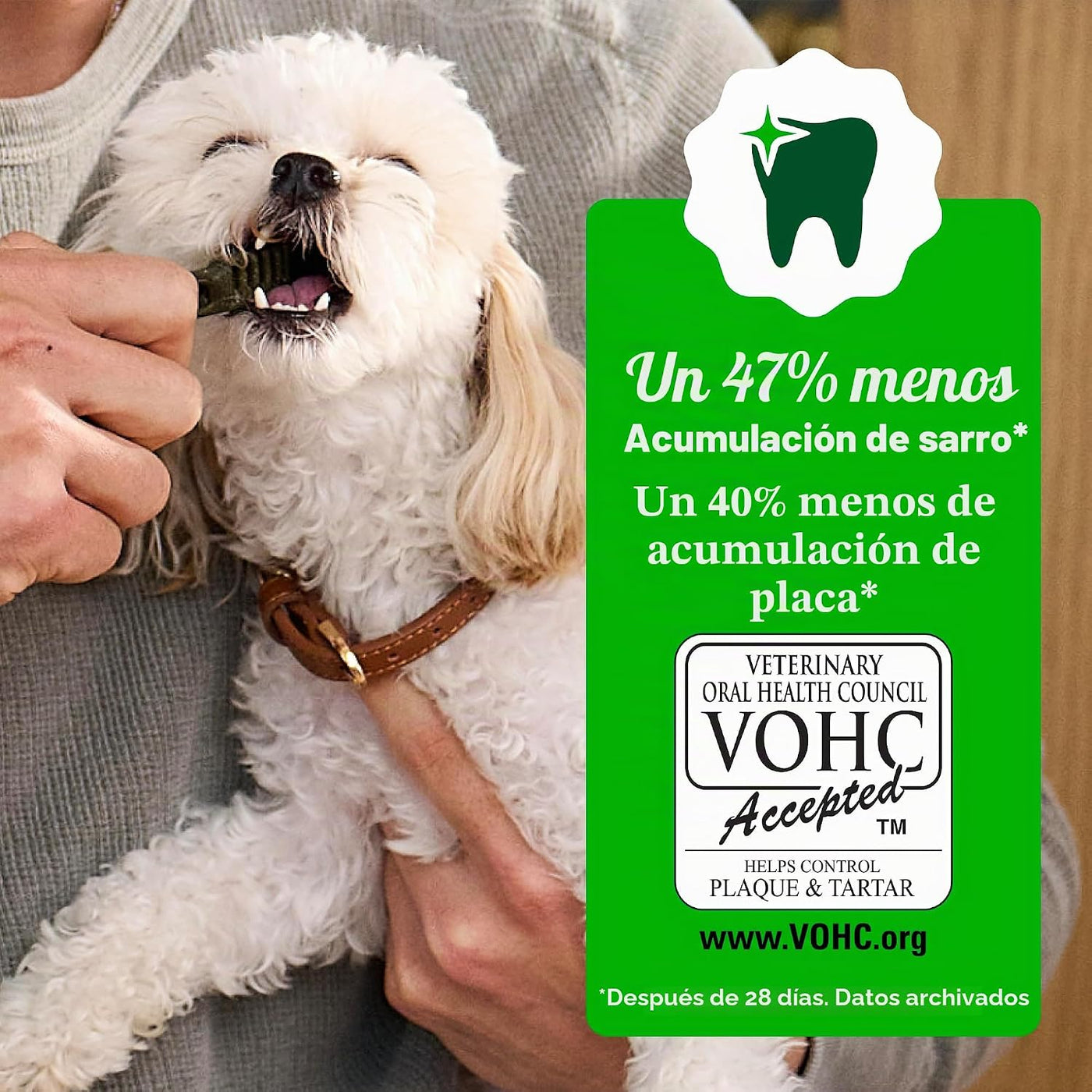 Greenies Dental Dog Treats
