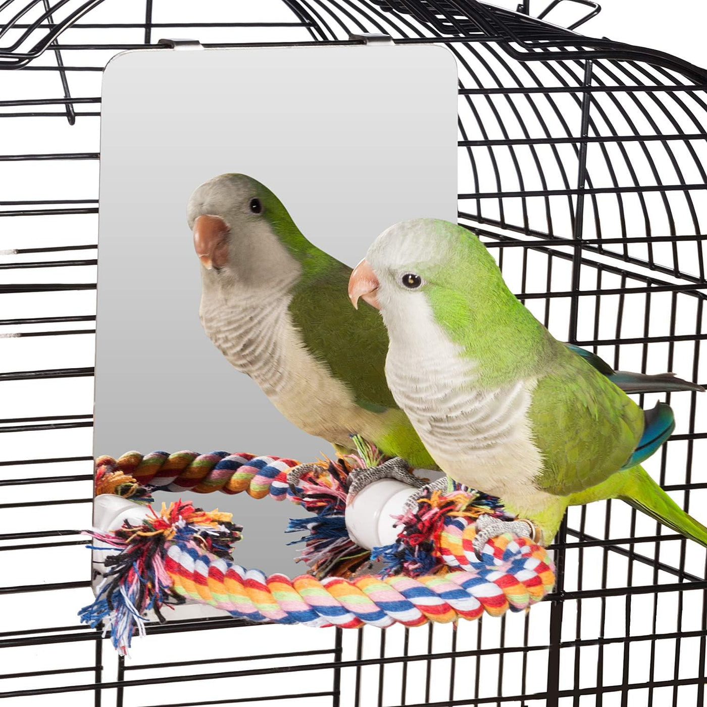 Colorday 7 Inch (18cm) Stainless Steel Bird Mirror with Rope Perch, bird Swing Toys, comfortable for Perch Grey African Parakeet Cockatiel Conure lovebir Finch canary