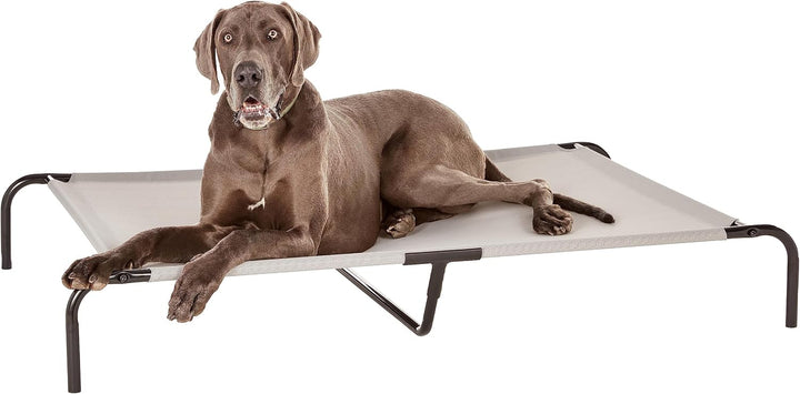 Amazon Basics Cooling Elevated Pet Bed for Dogs, X-Large, Grey, Fabric