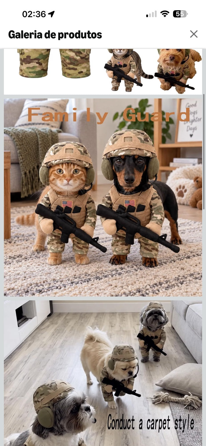 Cão e gato com o disfarce de soldado